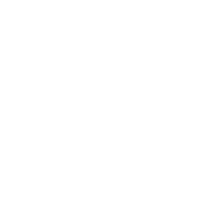 brand_brmv