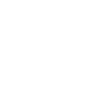 brand_seotres