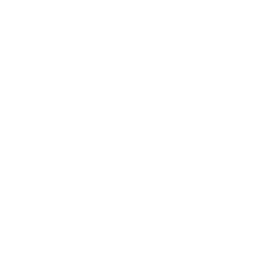 brand_tramontinajr